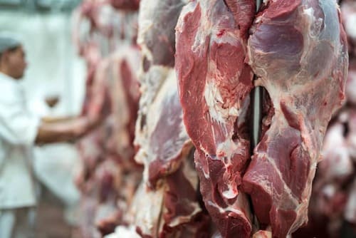 Higiene e segurança alimentar no setor das carnes - Obtenção
