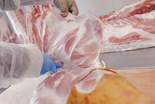 Higiene e segurança alimentar no setor das carnes - Renovação